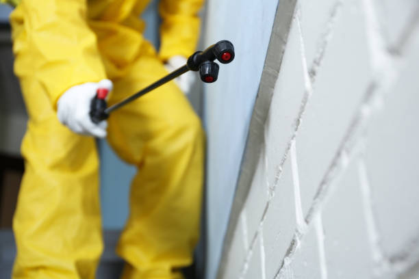 Best Fumigation Services  in Kdeer, IL